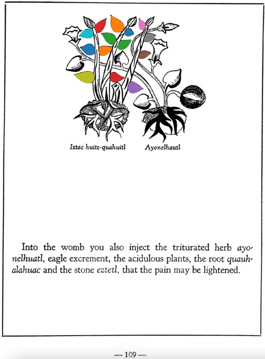 A_ID036_p109_01_Iztac_huitz-quahuitl.png