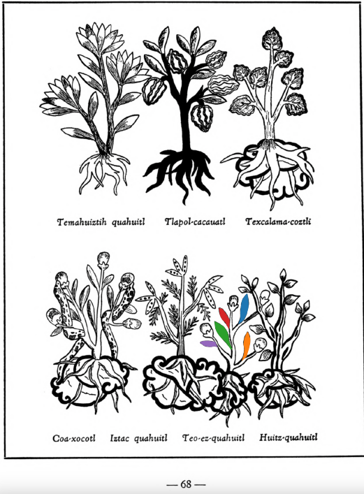 M_ID035_p068_06_Teo-ezquahuitl.png