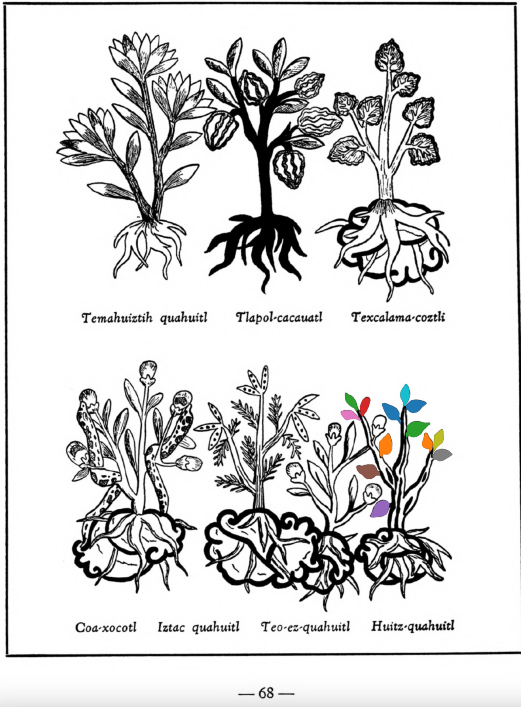 M_ID037_p068_07_Huitz-quahuitl.png
