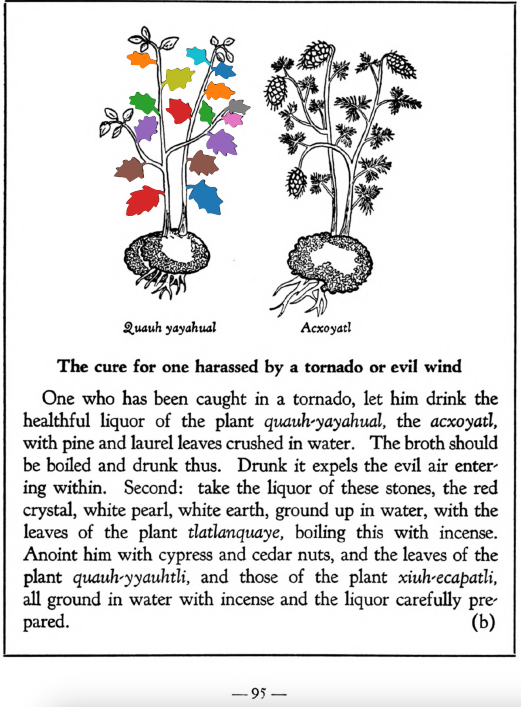 Z_ID135_p095_01_Quauh-yayahual.png