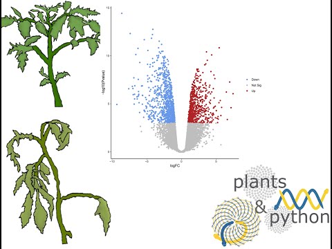 plants_python_logo.jpg