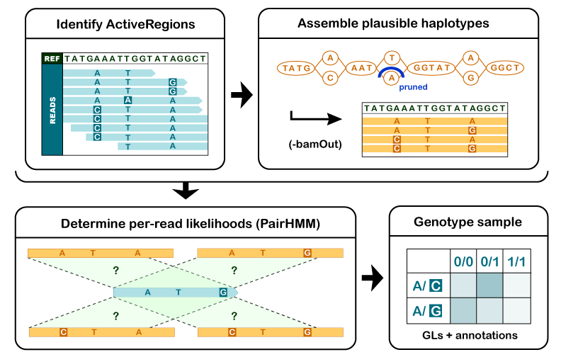 haplotype_caller.png