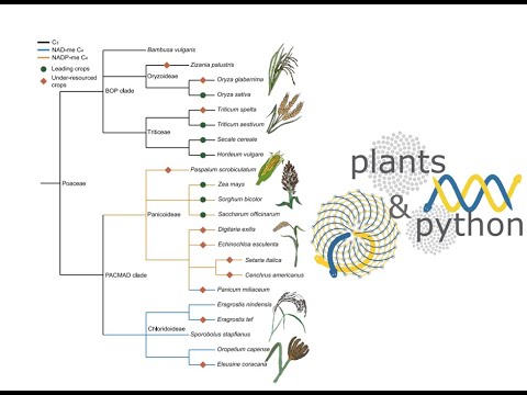 plants_python_logo.jpg