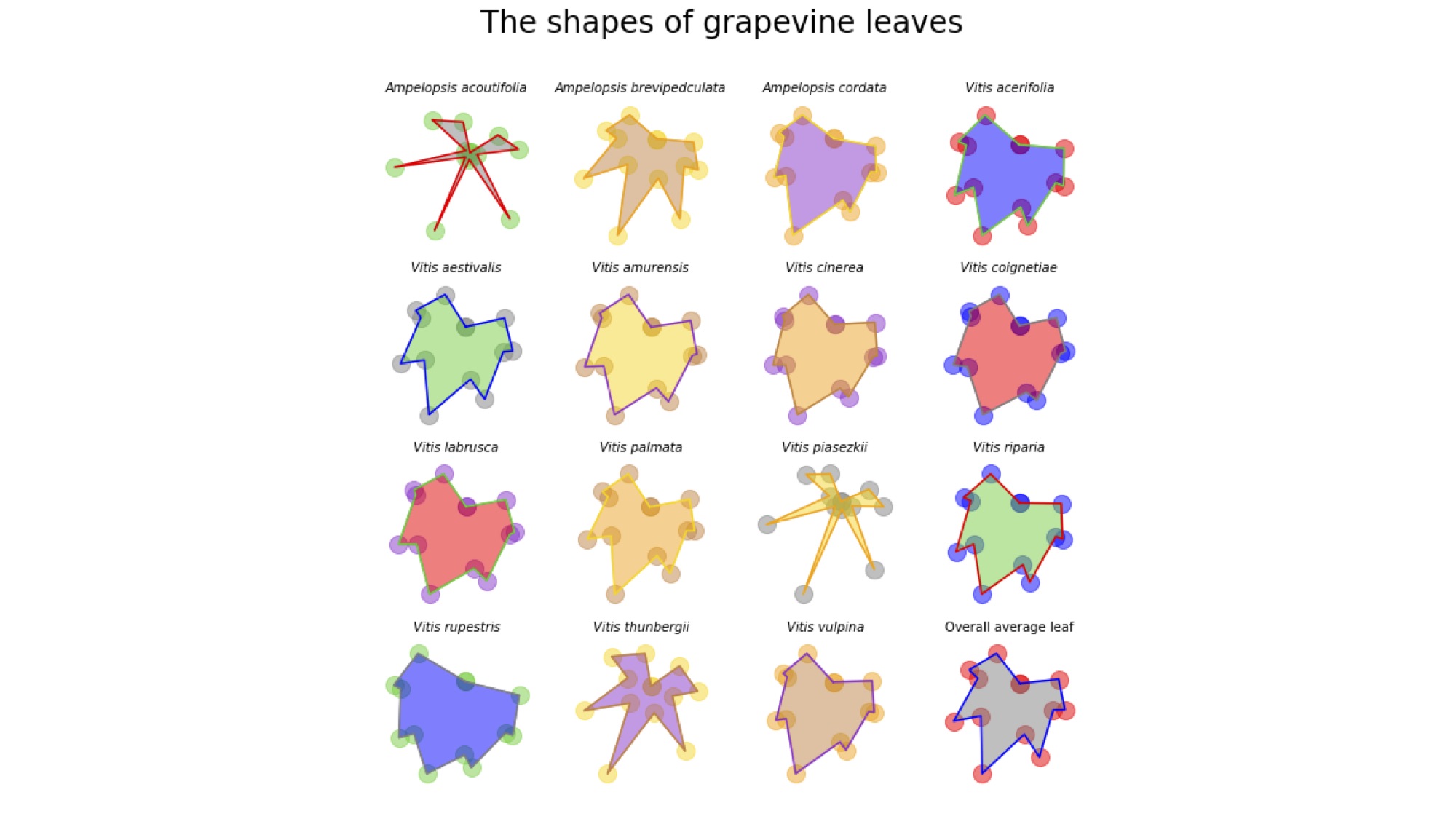Notebook1_grapevine_leaves.jpg