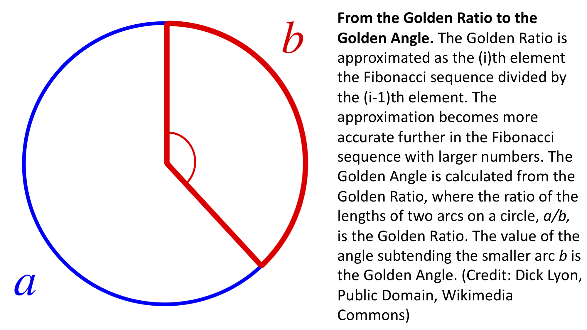 golden_angle.jpg
